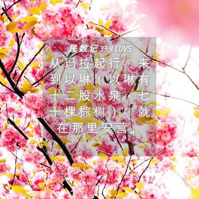 Picture 04 - 民 数 记 33:9 CUVS - 从 玛 拉 起 行 ， 来 到 以 琳 （ 以 - Bible Verse Picture
