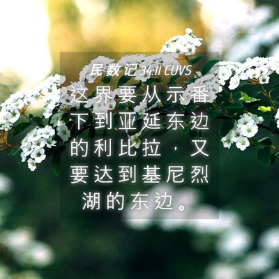 Picture 04 - 民 数 记 34:11 CUVS - 这 界 要 从 示 番 下 到 亚 延 东 边 - Bible Verse Picture