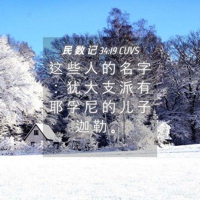 Picture 04 - 民 数 记 34:19 CUVS - 这 些 人 的 名 字 ： 犹 大 支 派 有 - Bible Verse Picture