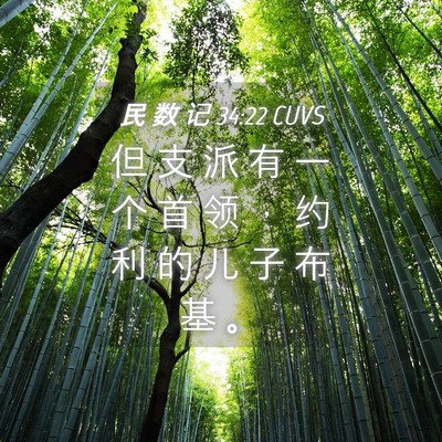 Picture 04 - 民 数 记 34:22 CUVS - 但 支 派 有 一 个 首 领 ， 约 利 的 - Bible Verse Picture
