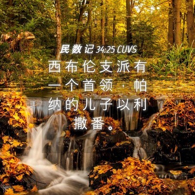 Picture 04 - 民 数 记 34:25 CUVS - 西 布 伦 支 派 有 一 个 首 领 ， 帕 - Bible Verse Picture