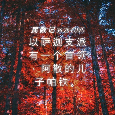 Picture 04 - 民 数 记 34:26 CUVS - 以 萨 迦 支 派 有 一 个 首 领 ， 阿 - Bible Verse Picture
