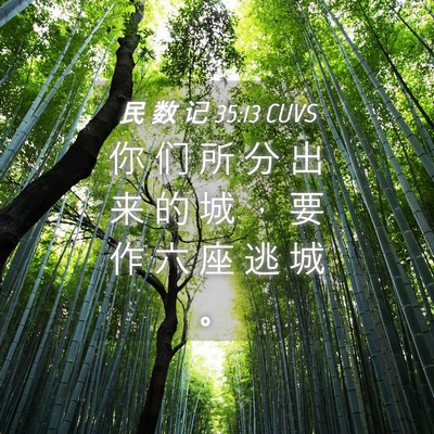 Picture 04 - 民 数 记 35:13 CUVS - 你 们 所 分 出 来 的 城 ， 要 作 六 - Bible Verse Picture