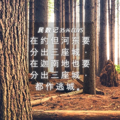 Picture 04 - 民 数 记 35:14 CUVS - 在 约 但 河 东 要 分 出 三 座 城 ， - Bible Verse Picture