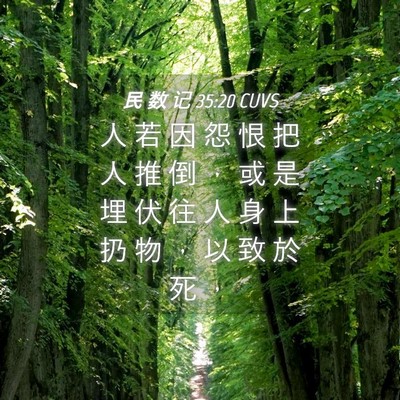 Picture 04 - 民 数 记 35:20 CUVS - 人 若 因 怨 恨 把 人 推 倒 ， 或 是 - Bible Verse Picture