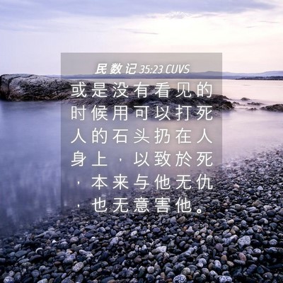 Picture 04 - 民 数 记 35:23 CUVS - 或 是 没 有 看 见 的 时 候 用 可 以 - Bible Verse Picture