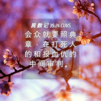 Picture 04 - 民 数 记 35:24 CUVS - 会 众 就 要 照 典 章 ， 在 打 死 人 - Bible Verse Picture