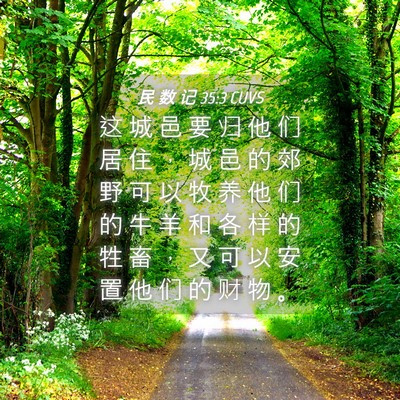 Picture 04 - 民 数 记 35:3 CUVS - 这 城 邑 要 归 他 们 居 住 ， 城 邑 - Bible Verse Picture