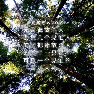 Picture 04 - 民 数 记 35:30 CUVS - 无 论 谁 故 杀 人 ， 要 凭 几 个 见 - Bible Verse Picture