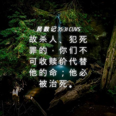 Picture 04 - 民 数 记 35:31 CUVS - 故 杀 人 、 犯 死 罪 的 ， 你 们 不 - Bible Verse Picture