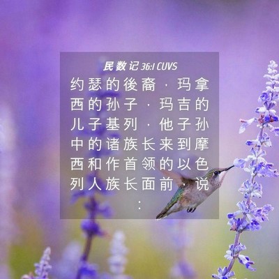 Picture 04 - 民 数 记 36:1 CUVS - 约 瑟 的 後 裔 ， 玛 拿 西 的 孙 子 - Bible Verse Picture