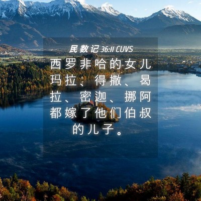 Picture 04 - 民 数 记 36:11 CUVS - 西 罗 非 哈 的 女 儿 玛 拉 、 得 撒 - Bible Verse Picture