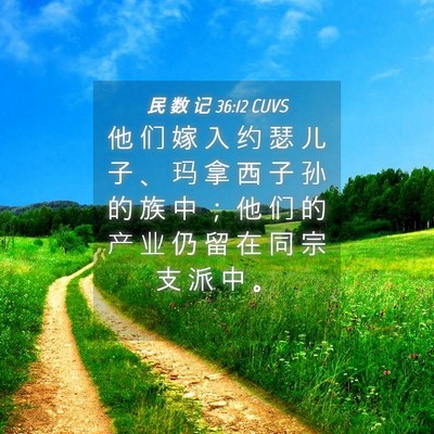Picture 04 - 民 数 记 36:12 CUVS - 他 们 嫁 入 约 瑟 儿 子 、 玛 拿 西 - Bible Verse Picture