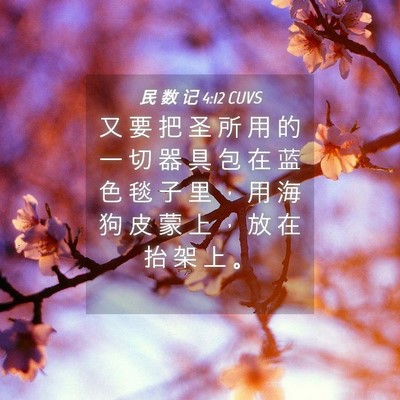 Picture 04 - 民 数 记 4:12 CUVS - 又 要 把 圣 所 用 的 一 切 器 具 包 - Bible Verse Picture