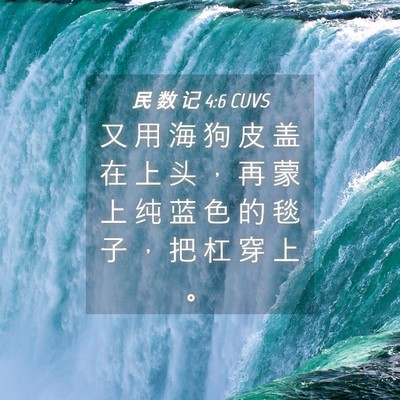 Picture 04 - 民 数 记 4:6 CUVS - 又 用 海 狗 皮 盖 在 上 头 ， 再 蒙 - Bible Verse Picture