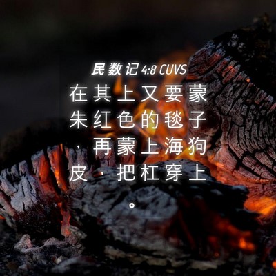 Picture 04 - 民 数 记 4:8 CUVS - 在 其 上 又 要 蒙 朱 红 色 的 毯 子 - Bible Verse Picture