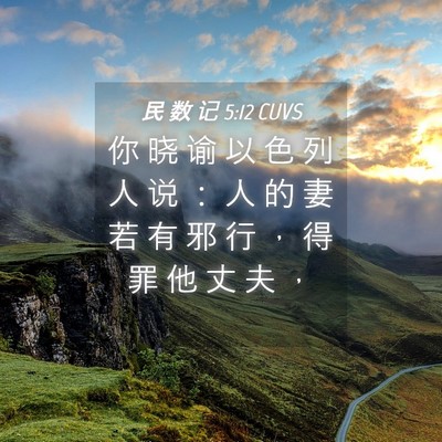 Picture 04 - 民 数 记 5:12 CUVS - 你 晓 谕 以 色 列 人 说 ： 人 的 妻 - Bible Verse Picture