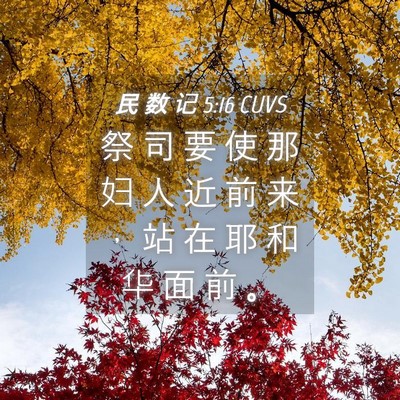 Picture 04 - 民 数 记 5:16 CUVS - 祭 司 要 使 那 妇 人 近 前 来 ， 站 - Bible Verse Picture