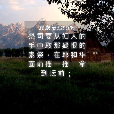 Picture 04 - 民 数 记 5:25 CUVS - 祭 司 要 从 妇 人 的 手 中 取 那 疑 - Bible Verse Picture