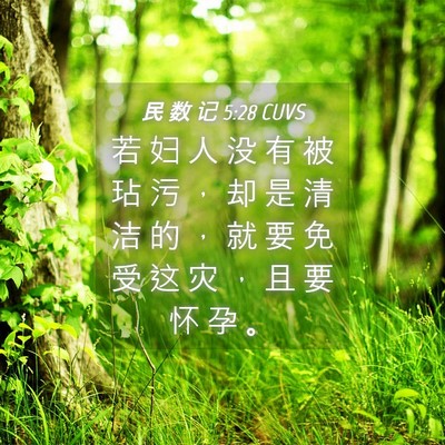 Picture 04 - 民 数 记 5:28 CUVS - 若 妇 人 没 有 被 玷 污 ， 却 是 清 - Bible Verse Picture