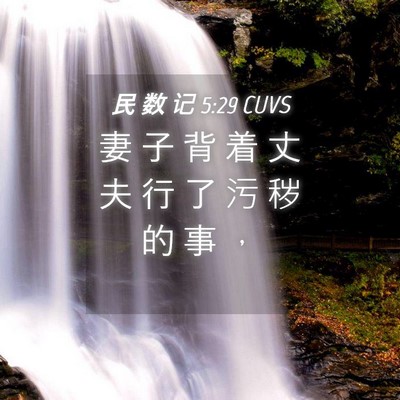 Picture 04 - 民 数 记 5:29 CUVS - 妻 子 背 着 丈 夫 行 了 污 秽 的 事 - Bible Verse Picture