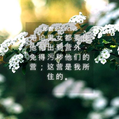 Picture 04 - 民 数 记 5:3 CUVS - 无 论 男 女 都 要 使 他 们 出 到 营 - Bible Verse Picture
