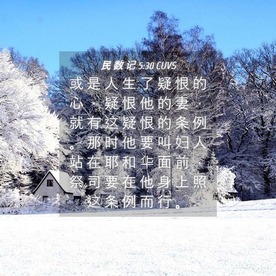 Picture 04 - 民 数 记 5:30 CUVS - 或 是 人 生 了 疑 恨 的 心 ， 疑 恨 - Bible Verse Picture