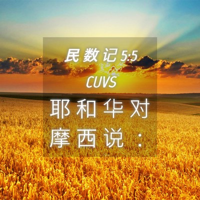 Picture 04 - 民 数 记 5:5 CUVS - 耶 和 华 对 摩 西 说 - Bible Verse Picture