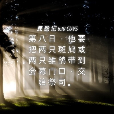 Picture 04 - 民 数 记 6:10 CUVS - 第 八 日 ， 他 要 把 两 只 斑 鸠 或 - Bible Verse Picture