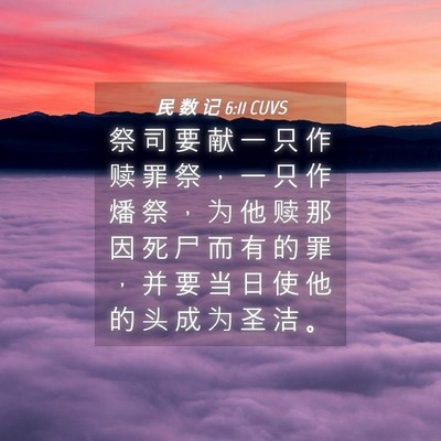 Picture 04 - 民 数 记 6:11 CUVS - 祭 司 要 献 一 只 作 赎 罪 祭 ， 一 - Bible Verse Picture