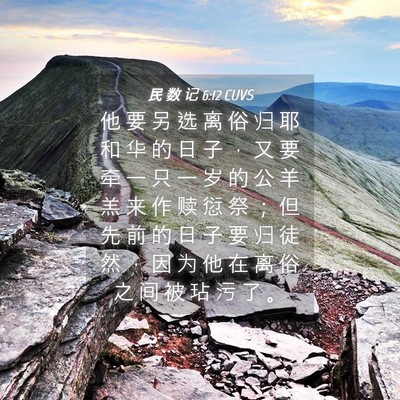 Picture 04 - 民 数 记 6:12 CUVS - 他 要 另 选 离 俗 归 耶 和 华 的 日 - Bible Verse Picture
