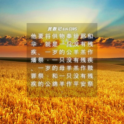 Picture 04 - 民 数 记 6:14 CUVS - 他 要 将 供 物 奉 给 耶 和 华 ， 就 - Bible Verse Picture