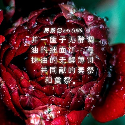 Picture 04 - 民 数 记 6:15 CUVS - 并 一 筐 子 无 酵 调 油 的 细 面 饼 - Bible Verse Picture