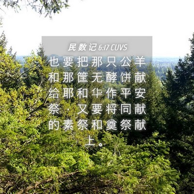 Picture 04 - 民 数 记 6:17 CUVS - 也 要 把 那 只 公 羊 和 那 筐 无 酵 - Bible Verse Picture