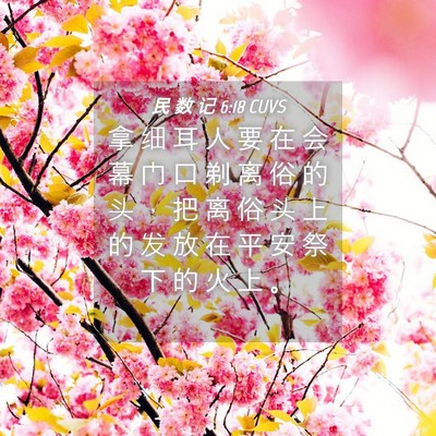 Picture 04 - 民 数 记 6:18 CUVS - 拿 细 耳 人 要 在 会 幕 门 口 剃 离 - Bible Verse Picture