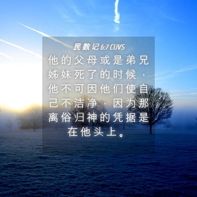 Picture 04 - 民 数 记 6:7 CUVS - 他 的 父 母 或 是 弟 兄 姊 妹 死 了 - Bible Verse Picture