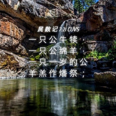 Picture 04 - 民 数 记 7:21 CUVS - 一 只 公 牛 犊 ， 一 只 公 绵 羊 ， - Bible Verse Picture