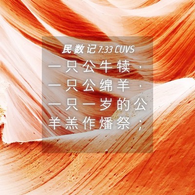 Picture 04 - 民 数 记 7:33 CUVS - 一 只 公 牛 犊 ， 一 只 公 绵 羊 ， - Bible Verse Picture