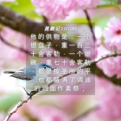 Picture 04 - 民 数 记 7:37 CUVS - 他 的 供 物 是 ： 一 个 银 盘 子 ， - Bible Verse Picture