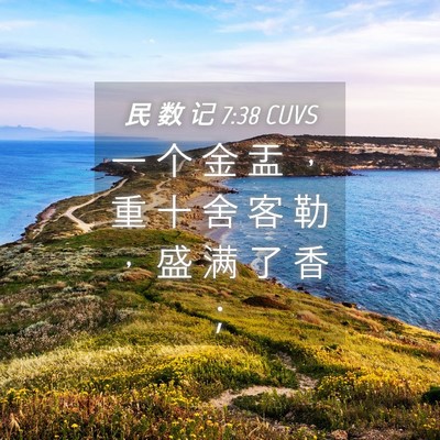 Picture 04 - 民 数 记 7:38 CUVS - 一 个 金 盂 ， 重 十 舍 客 勒 ， 盛 - Bible Verse Picture