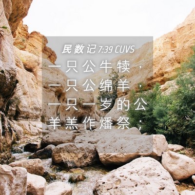 Picture 04 - 民 数 记 7:39 CUVS - 一 只 公 牛 犊 ， 一 只 公 绵 羊 ， - Bible Verse Picture