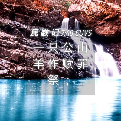 Picture 04 - 民 数 记 7:40 CUVS - 一 只 公 山 羊 作 赎 罪 祭 - Bible Verse Picture