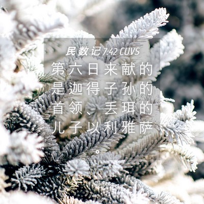 Picture 04 - 民 数 记 7:42 CUVS - 第 六 日 来 献 的 是 迦 得 子 孙 的 - Bible Verse Picture