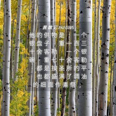 Picture 04 - 民 数 记 7:43 CUVS - 他 的 供 物 是 ： 一 个 银 盘 子 ， - Bible Verse Picture