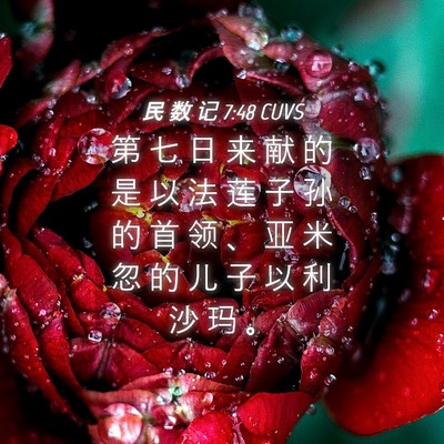 Picture 04 - 民 数 记 7:48 CUVS - 第 七 日 来 献 的 是 以 法 莲 子 孙 - Bible Verse Picture