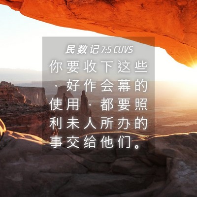 Picture 04 - 民 数 记 7:5 CUVS - 你 要 收 下 这 些 ， 好 作 会 幕 的 - Bible Verse Picture