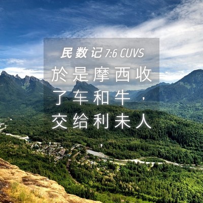 Picture 04 - 民 数 记 7:6 CUVS - 於 是 摩 西 收 了 车 和 牛 ， 交 给 - Bible Verse Picture