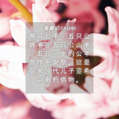 Picture 04 - 民 数 记 7:71 CUVS - 两 只 公 牛 ， 五 只 公 绵 羊 ， 五 - Bible Verse Picture