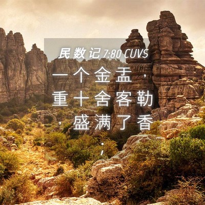 Picture 04 - 民 数 记 7:80 CUVS - 一 个 金 盂 ， 重 十 舍 客 勒 ， 盛 - Bible Verse Picture