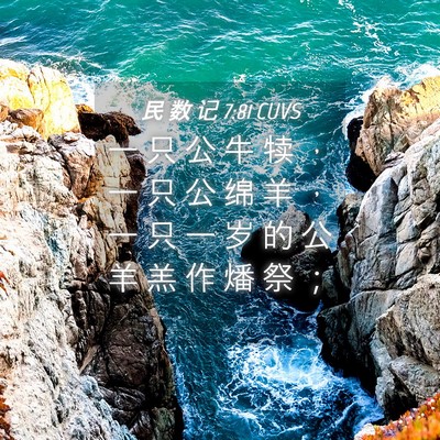 Picture 04 - 民 数 记 7:81 CUVS - 一 只 公 牛 犊 ， 一 只 公 绵 羊 ， - Bible Verse Picture